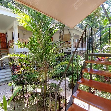 Colibri Apartments - 4 Min Walk To The Beach! Playa Santa Teresa  المظهر الخارجي الصورة