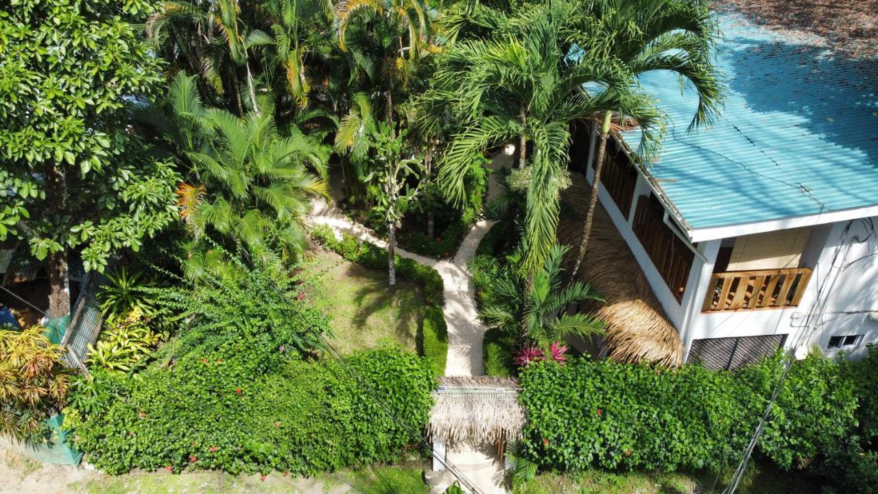 Colibri Apartments - 4 Min Walk To The Beach! Playa Santa Teresa  المظهر الخارجي الصورة