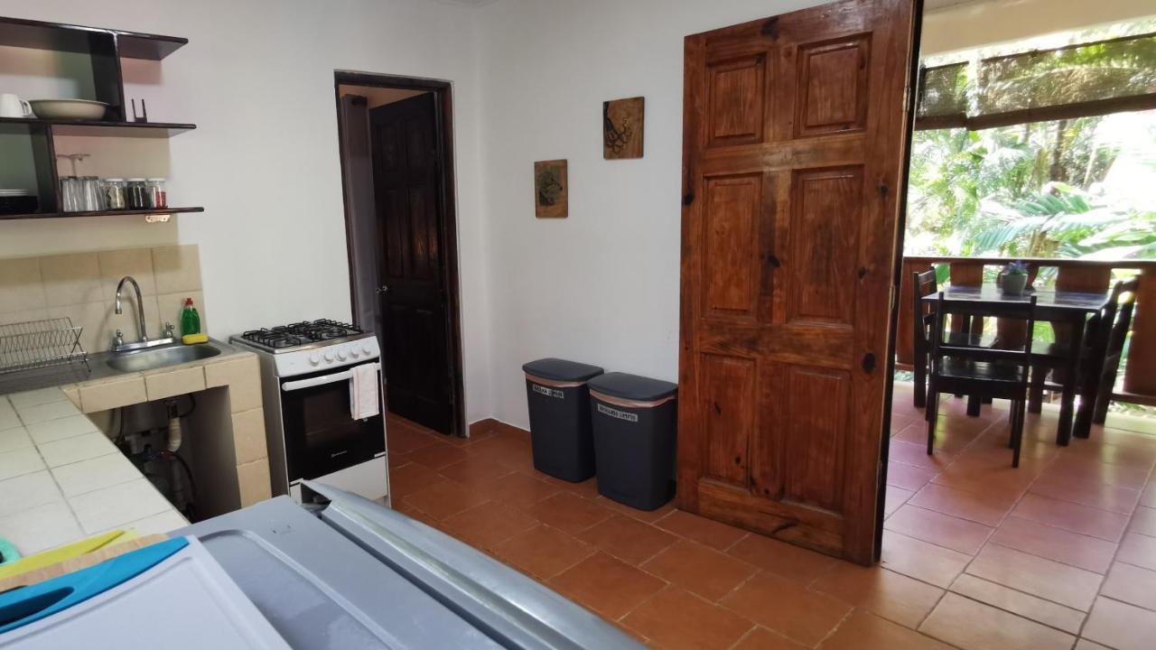 Colibri Apartments - 4 Min Walk To The Beach! Playa Santa Teresa  المظهر الخارجي الصورة