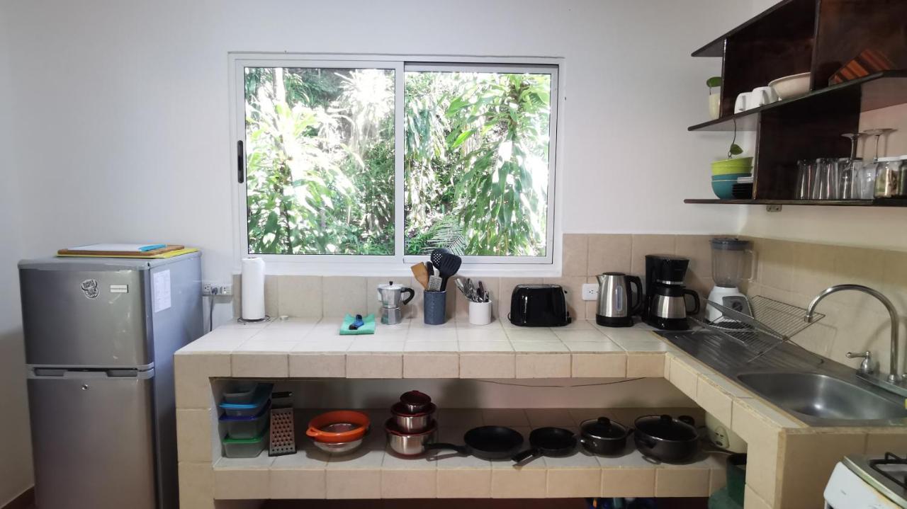 Colibri Apartments - 4 Min Walk To The Beach! Playa Santa Teresa  المظهر الخارجي الصورة