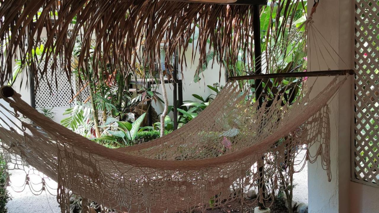 Colibri Apartments - 4 Min Walk To The Beach! Playa Santa Teresa  المظهر الخارجي الصورة