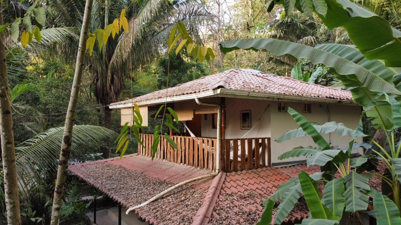 Colibri Apartments - 4 Min Walk To The Beach! Playa Santa Teresa  المظهر الخارجي الصورة
