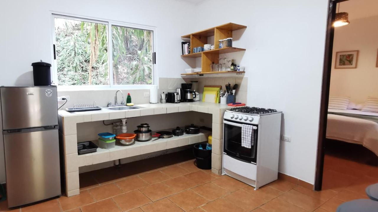 Colibri Apartments - 4 Min Walk To The Beach! Playa Santa Teresa  المظهر الخارجي الصورة