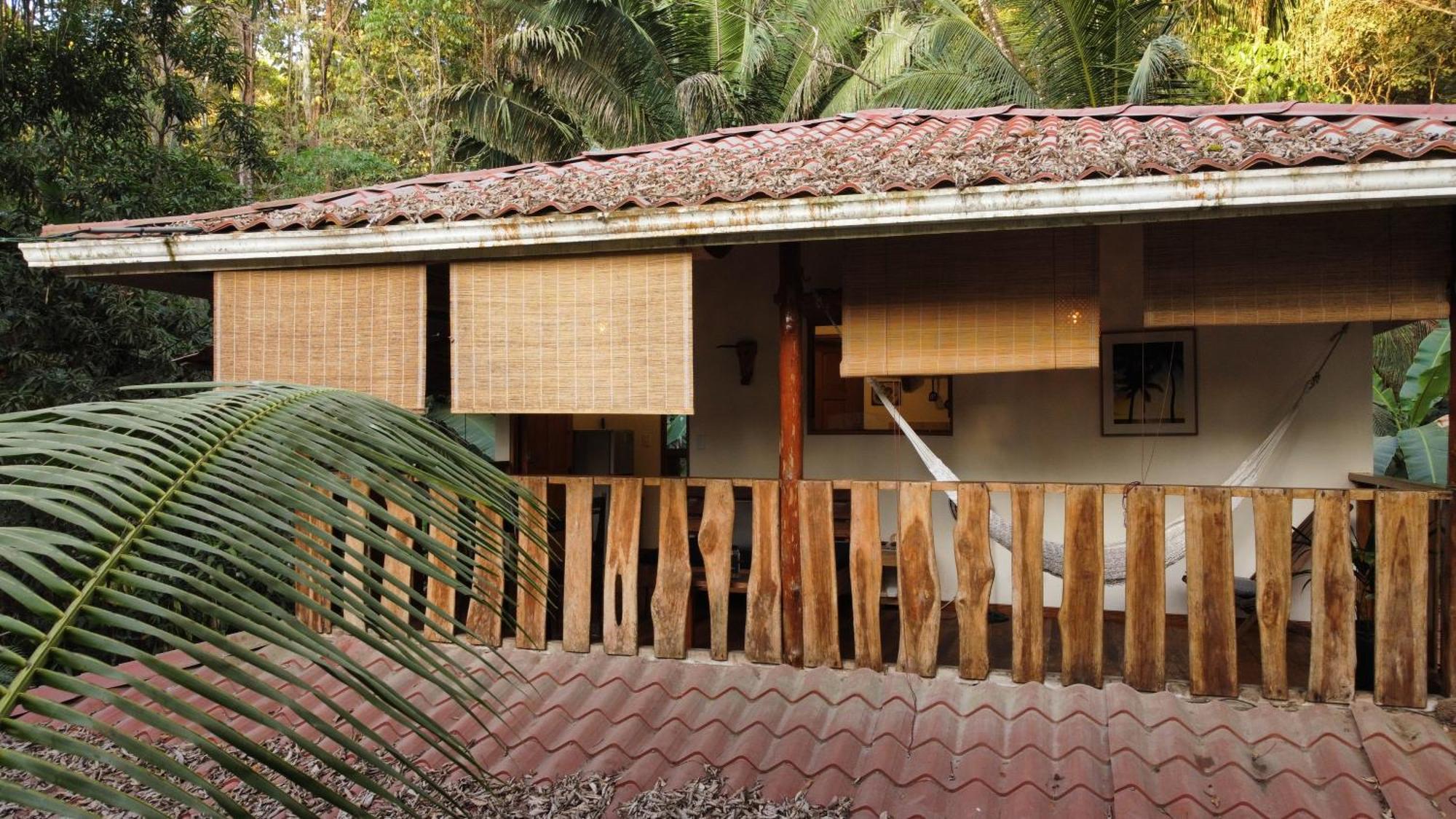 Colibri Apartments - 4 Min Walk To The Beach! Playa Santa Teresa  الغرفة الصورة