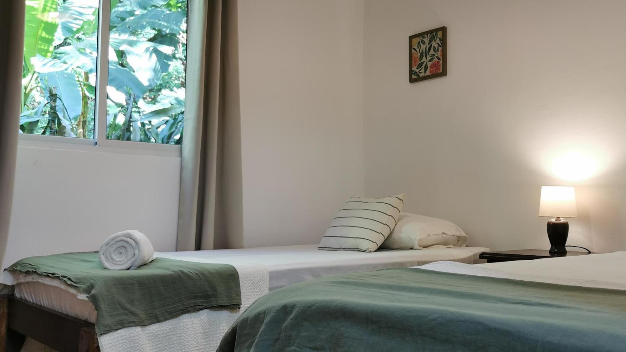 Colibri Apartments - 4 Min Walk To The Beach! Playa Santa Teresa  الغرفة الصورة