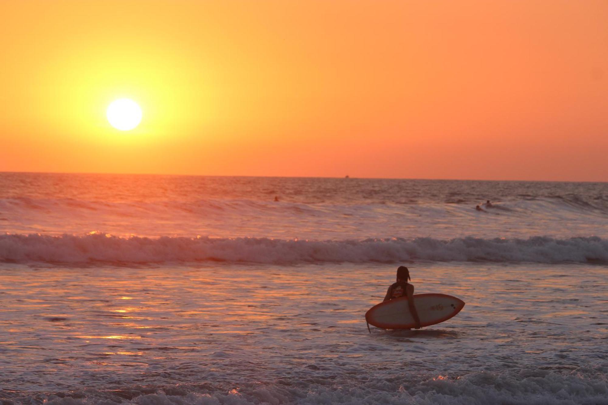 Colibri Apartments - 4 Min Walk To The Beach! Playa Santa Teresa  المظهر الخارجي الصورة