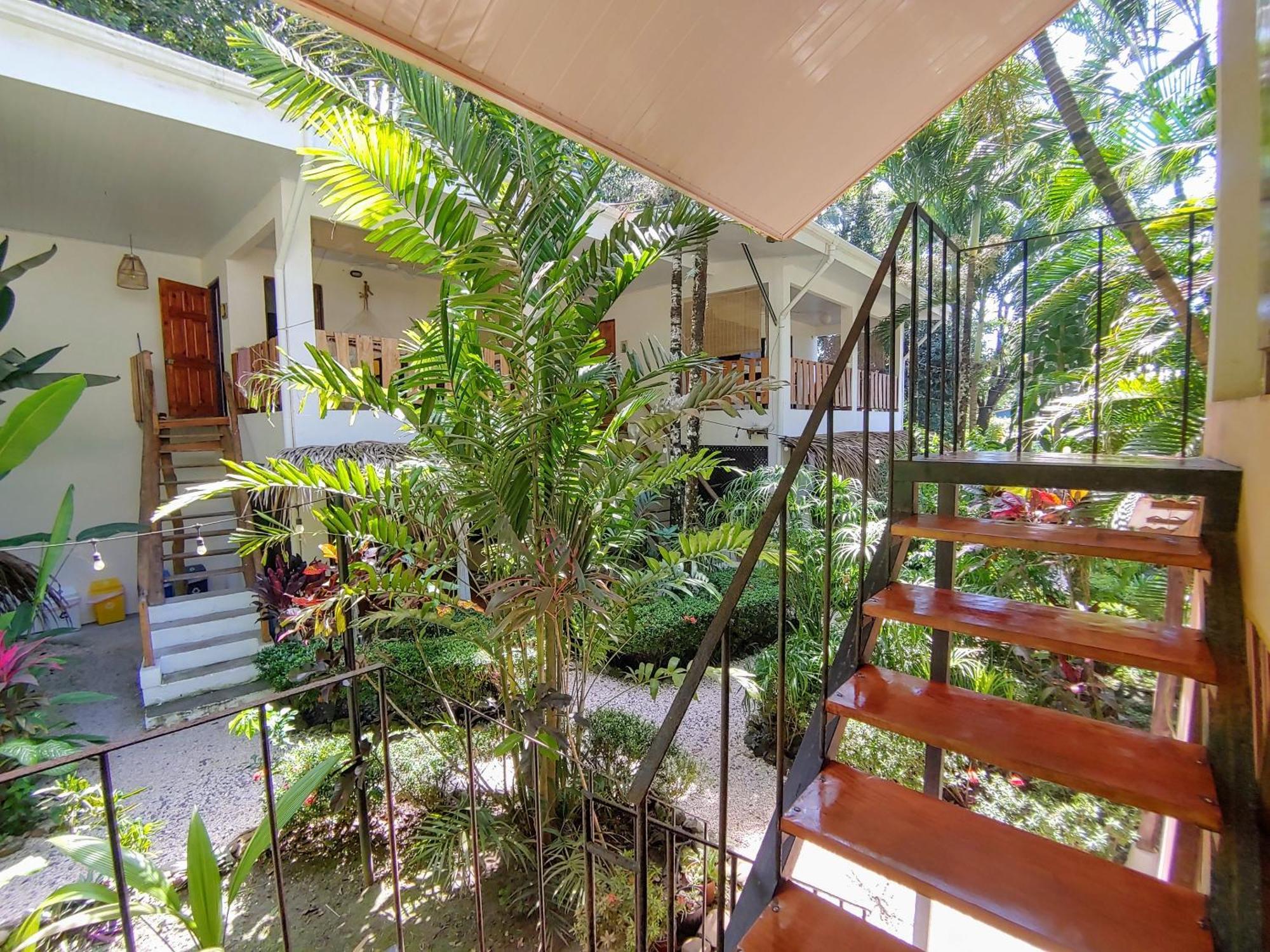 Colibri Apartments - 4 Min Walk To The Beach! Playa Santa Teresa  المظهر الخارجي الصورة